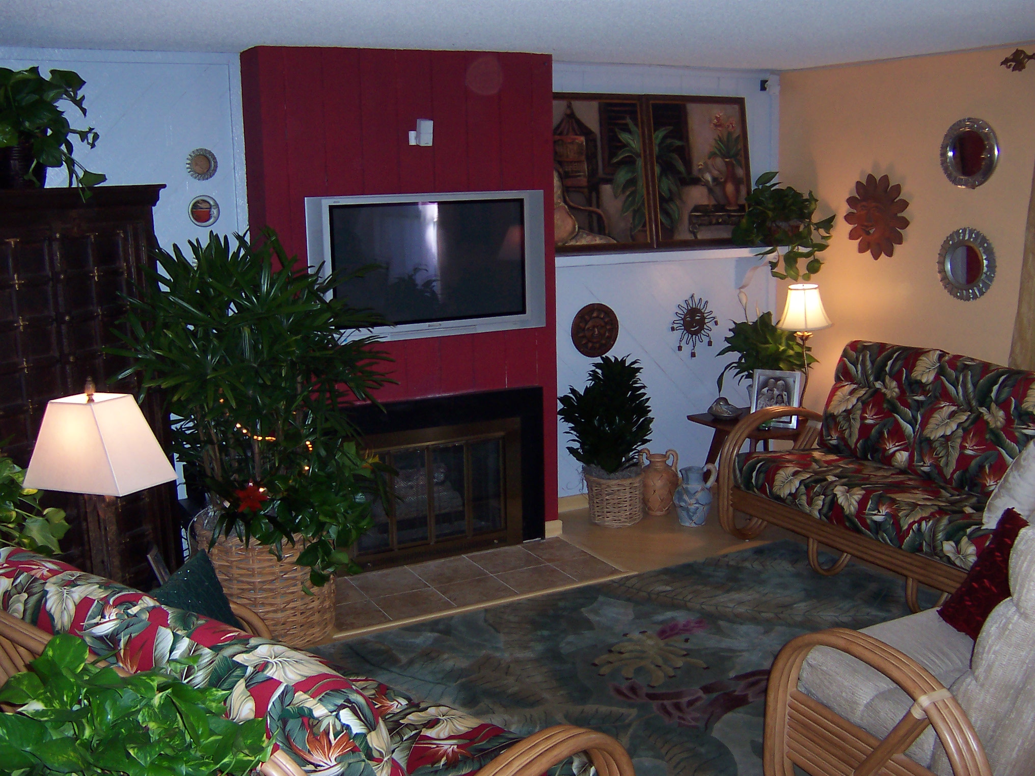 Family Room Plants - Residential Plant Service