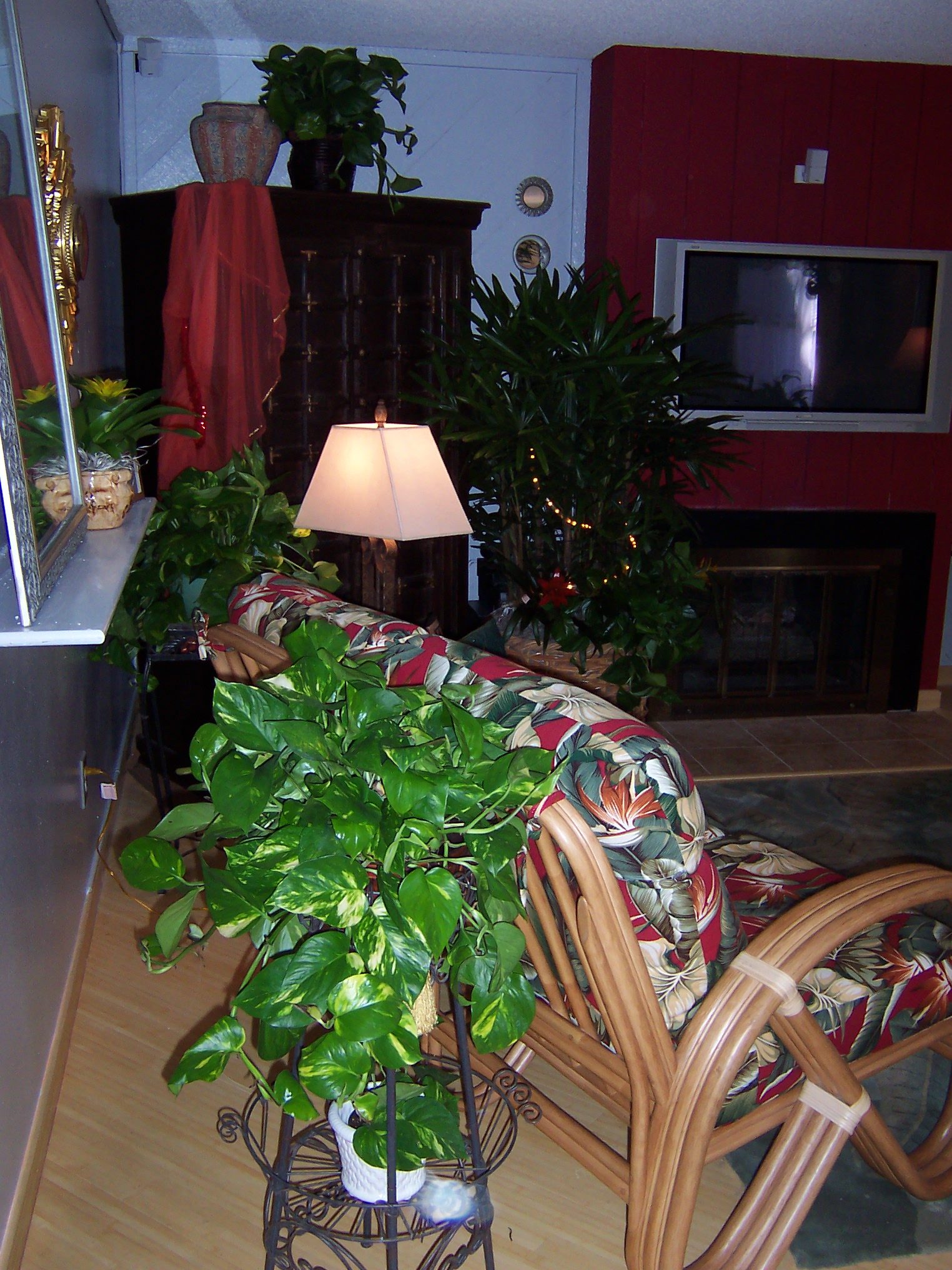 Living Room Plants - Residential Plant Service